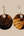 Grace Kpou Cowrie Oval Heritage Earring